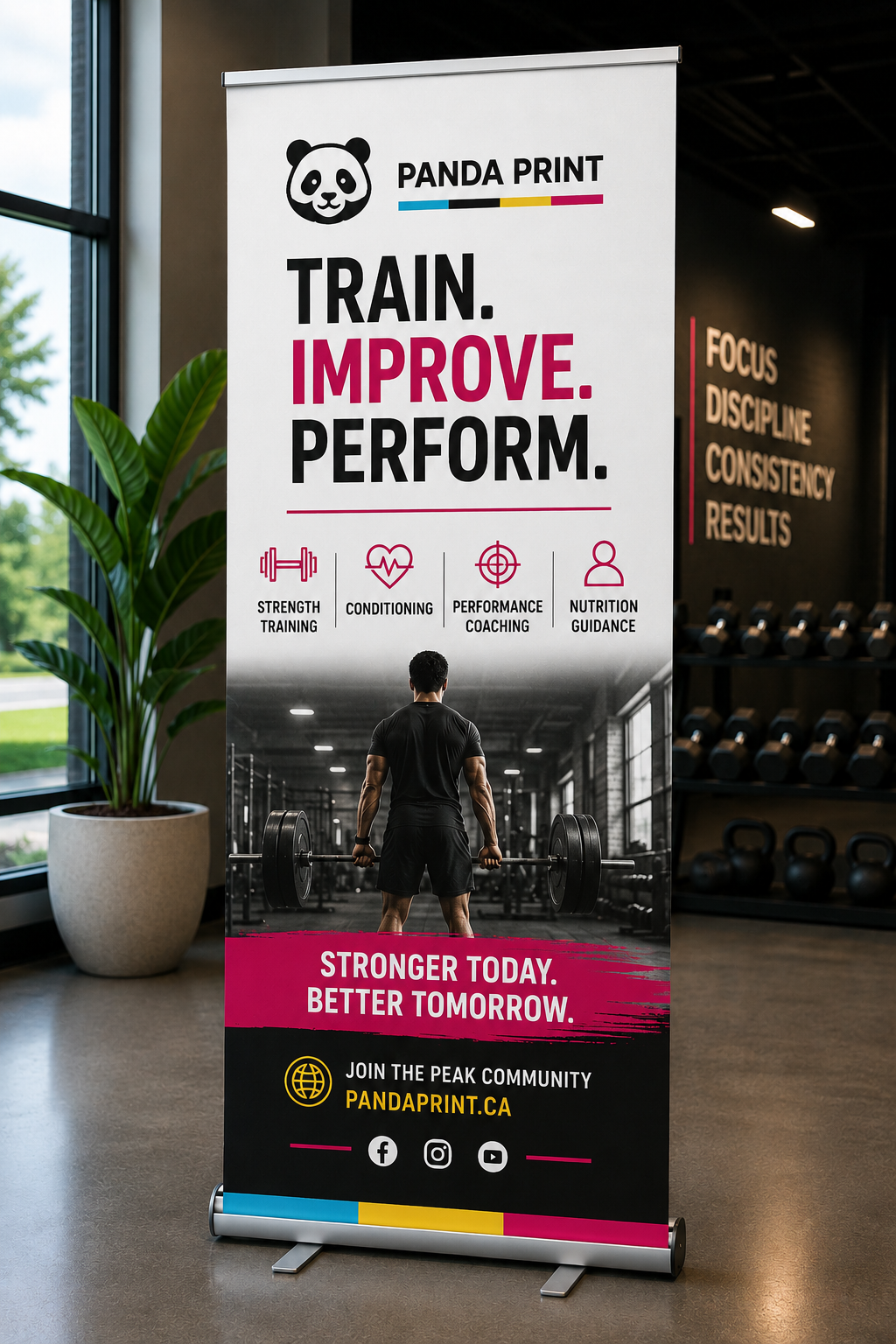 Roll-Up Banners